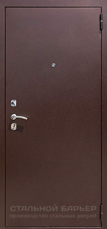 Дверь Порошок №20